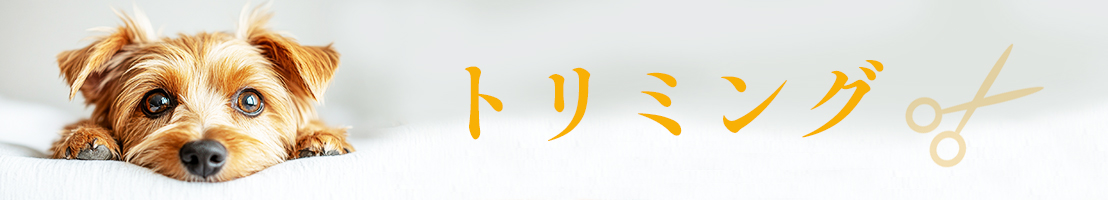 トリミング